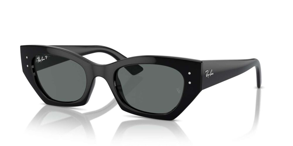 Ray-Ban • RB-4430-667781 • 0RB4430 667781 P21 shad qt