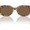 Swarovski  SK6002 Dark Brown