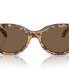 Swarovski  SK6002 Dark Brown