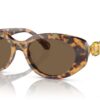 Swarovski  SK6002 Dark Brown