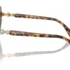 Swarovski  SK6016 Brown