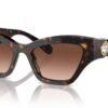 Swarovski  SK6021 Gradient Brown