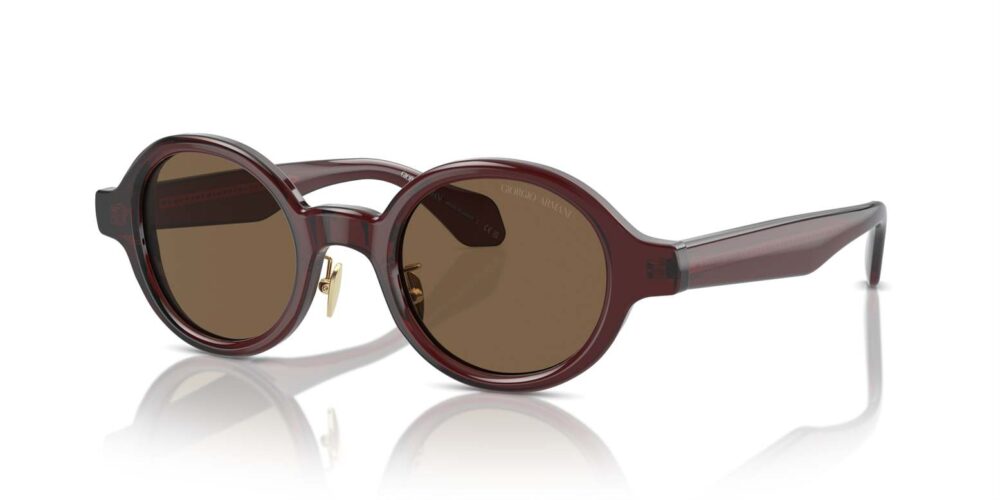 Giorgio Armani • AR-8205-606273 • 0AR8205 606273 P21 shad qt