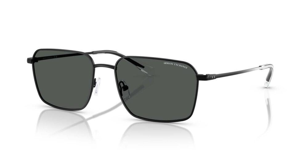 Armani Exchange • AX-2053S-600087 • 0AX2053S 600087 P21 shad qt