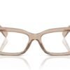 Dolce & Gabbana  DG3387 Transparent Camel Frame