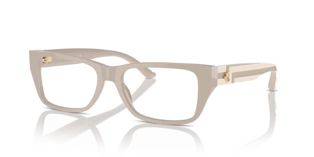 Jimmy Choo • JC-3016-5033 • 0JC3016 5033 P21 shad qt