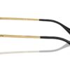 Ralph  RA6061 Shiny Black Frame