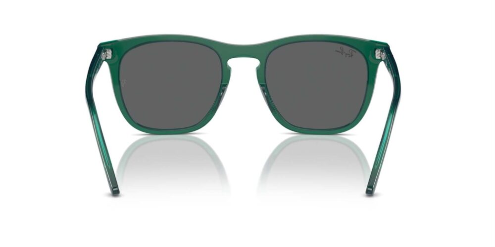 Ray-Ban • RB-2210-6615B1 • 0RB2210 6615B1 P21 shad bk