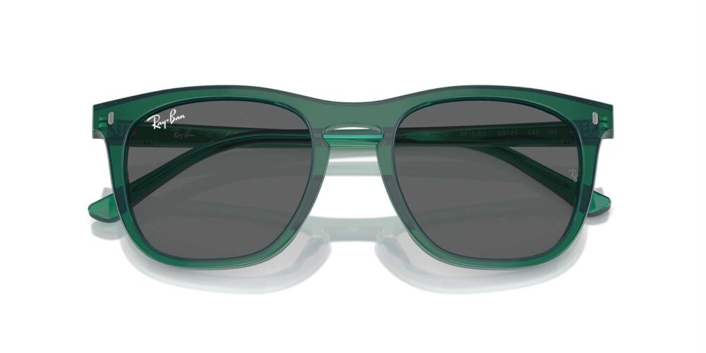 Ray-Ban • RB-2210-6615B1 • 0RB2210 6615B1 P21 shad cfr