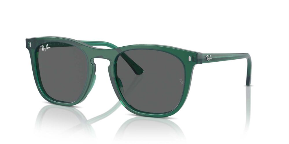 Ray-Ban • RB-2210-6615B1 • 0RB2210 6615B1 P21 shad qt