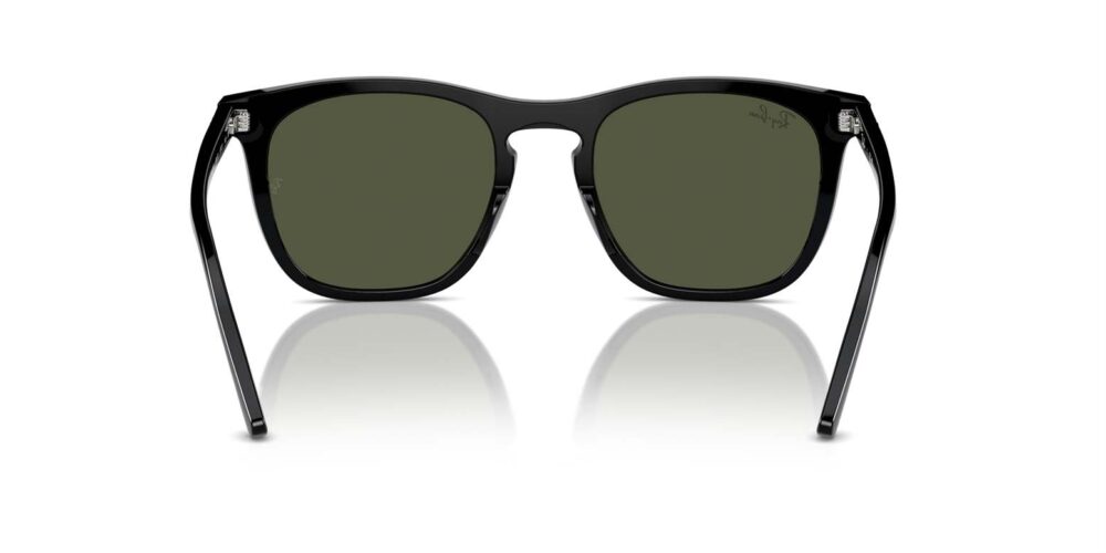 Ray-Ban • RB-2210-901-31 • 0RB2210 901 31 P21 shad bk