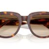 Ray-Ban Doreen RB2286 Clear Gradient Brown