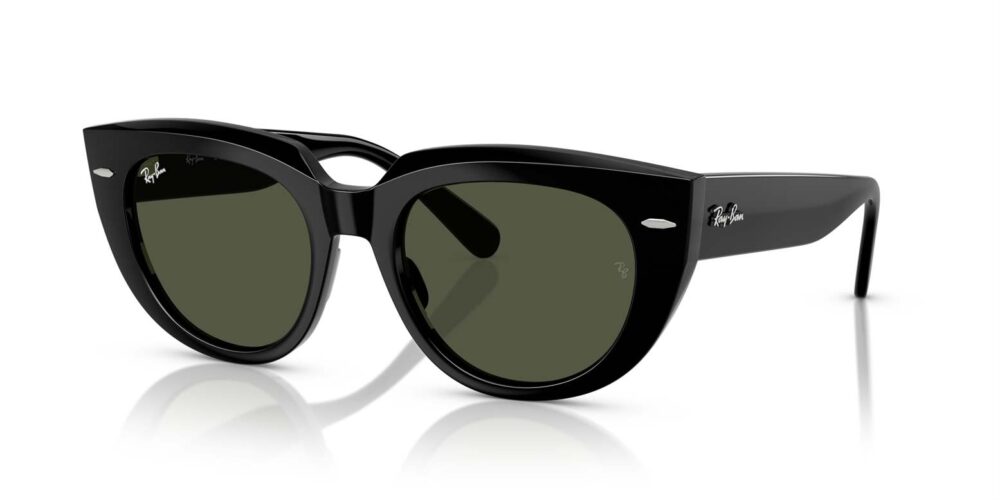 Ray-Ban • RB-2286-901-31 • 0RB2286 901 31 P21 shad qt