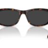 Ray-Ban Mega Balorama RB2289 Polar Black