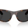 Ray-Ban Mega Balorama RB2289 Polar Black