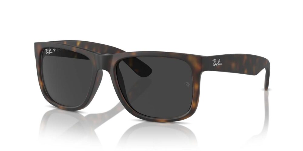 Ray-Ban • RB-4165-865-87 • 0RB4165 865 87 P21 shad qt