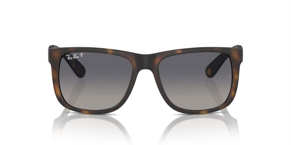 Ray-Ban • RB-4165-865-8S • 0RB4165 865 8S P21 shad fr