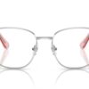 Swarovski  SK1019 Silver Frame