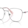 Swarovski  SK1019 Silver Frame
