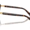 Swarovski  SK2030 Havana Frame
