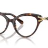 Swarovski  SK2030 Havana Frame