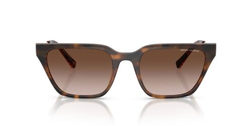 821313 - Shiny Havana frame / Gradient Brown lenses