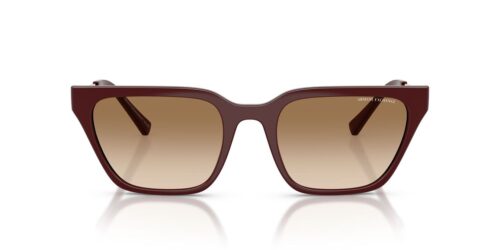 838389 - Shiny Bordeaux frame / Gradient Brown lenses