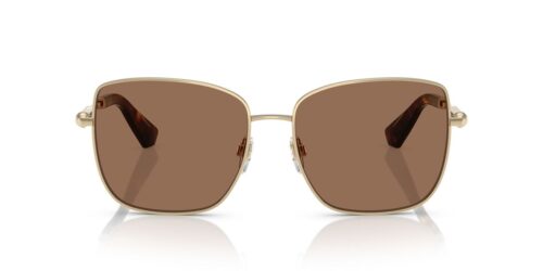 110973 - Light Gold frame / Dark Brown lenses