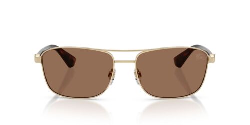 110973 - Light Gold frame / Dark Brown lenses