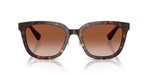 300213 - Dark Havana frame / Brown Gradient lenses