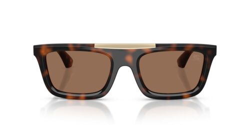 300273 - Dark Havana frame / Dark Brown lenses