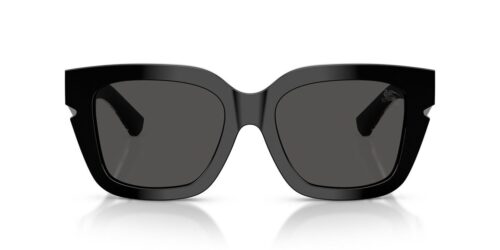 300187 - Black frame / DARK GREY lenses