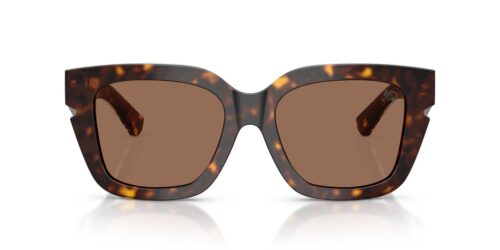 300273 - Dark Havana frame / Dark Brown lenses