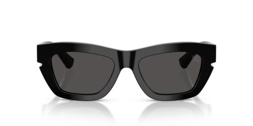 300187 - Black frame / DARK GREY lenses