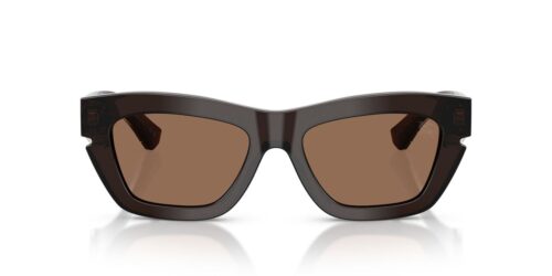 411673 - Brown frame / Dark Brown lenses