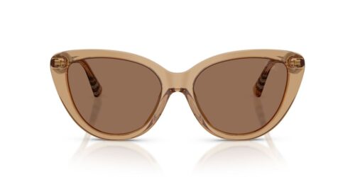 416473 - Beige frame / Dark Brown lenses