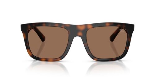 300273 - Dark Havana frame / Dark Brown lenses