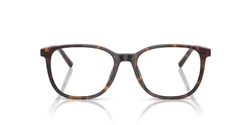 Dolce & Gabbana  DG3426 Havana Frame