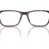 Dolce & Gabbana  DG3427 Havana Frame