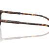 Dolce & Gabbana  DG3427 Havana Frame