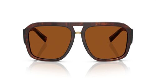 322273 - Dark Red Brown frame / Dark Brown lenses