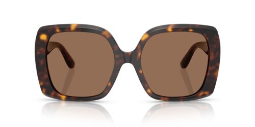 502/73 - Havana frame / Dark Brown lenses