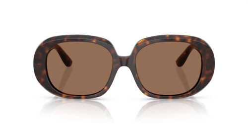 502/73 - Havana frame / Dark Brown lenses