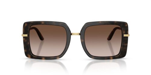 321713 - Havana On White Barrow frame / Brown Gradient lenses