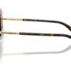 Dolce & Gabbana  DG4491 Brown Gradient