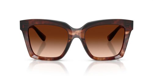 322274 - Dark Red Havana frame / Brown Gradient lenses