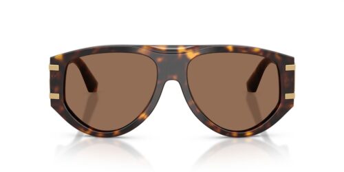 Dolce & Gabbana  DG4499 Dark Brown