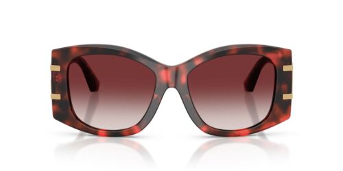33588H - Red Havana frame / Clear Gradient Dark Brandy lenses