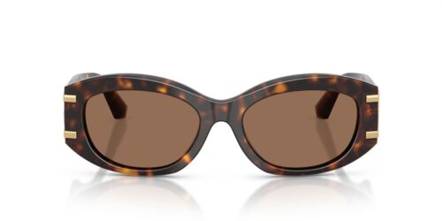 502/73 - Havana frame / Dark Brown lenses