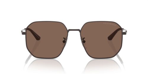 320173 - Montura marrón mate / Lentes marrón oscuro